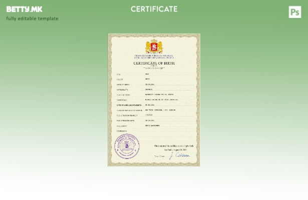 Модерен стил, шаблон за извод од матична книга на родени со витален рекорд во Гр